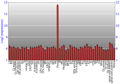 Expression graph