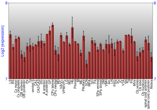 Expression graph
