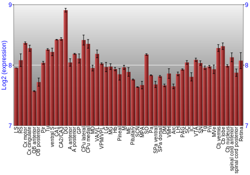 Expression graph