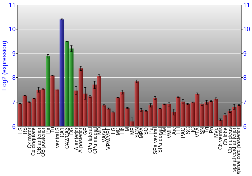 Multi-state expression graph