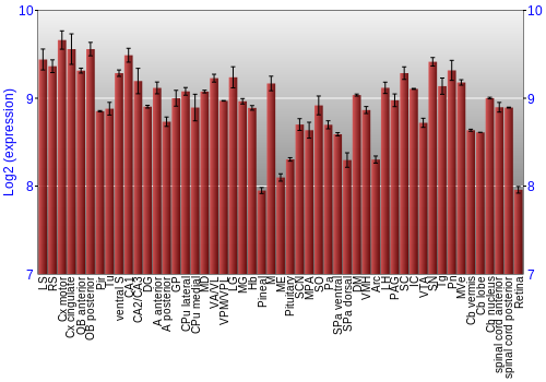 Expression graph