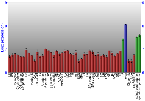 Multi-state expression graph
