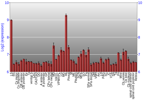 Expression graph