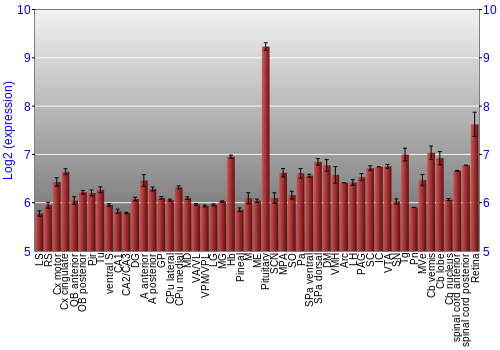 Expression graph