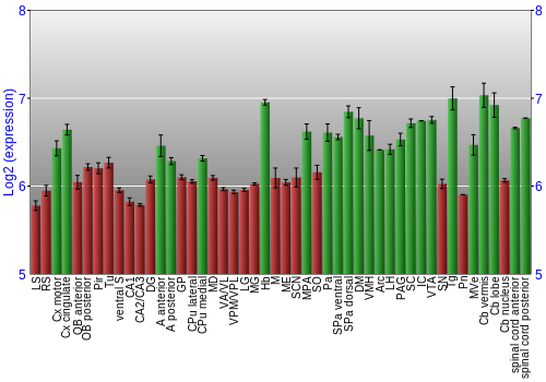 Multi-state expression graph