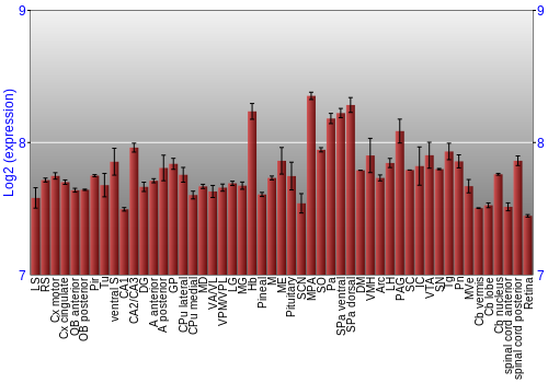 Expression graph