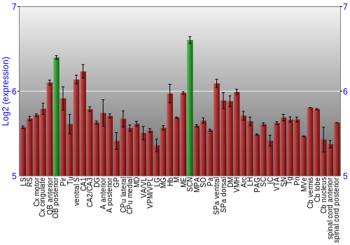 Multi-state expression graph