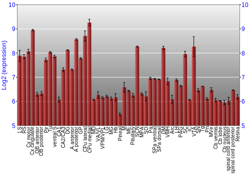 Expression graph