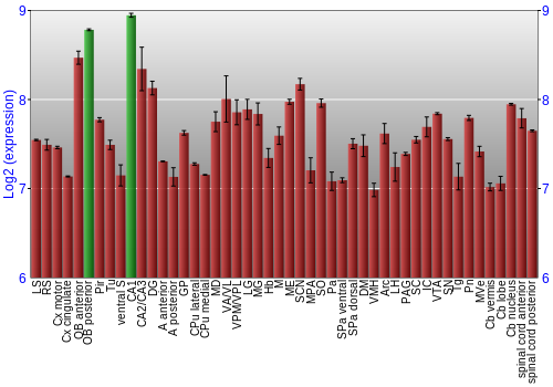 Multi-state expression graph