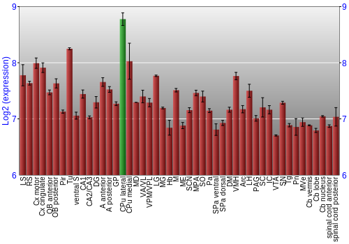 Multi-state expression graph