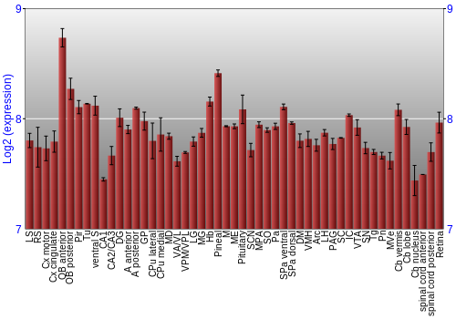 Expression graph