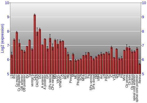 Expression graph