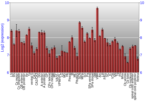 Expression graph
