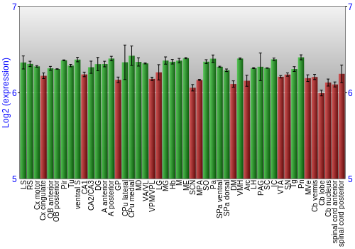 Multi-state expression graph