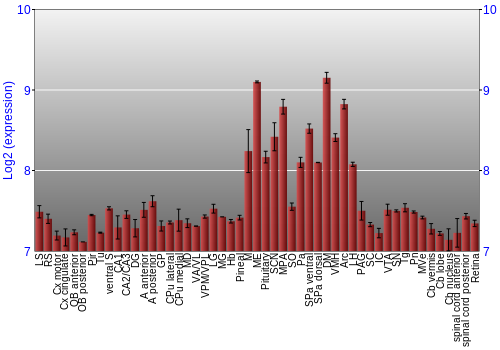 Expression graph