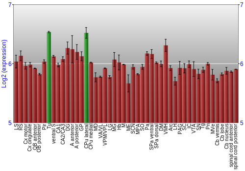 Multi-state expression graph
