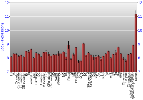 Expression graph