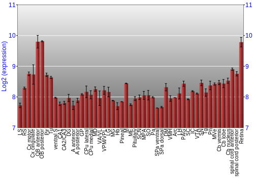 Expression graph