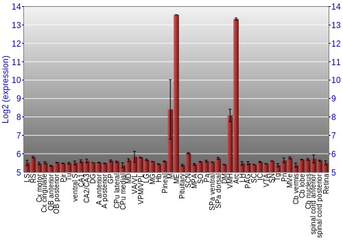 Expression graph