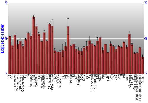 Expression graph