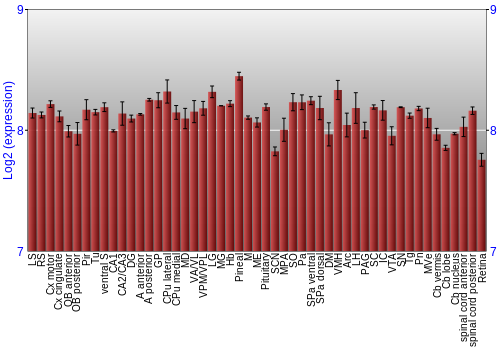 Expression graph