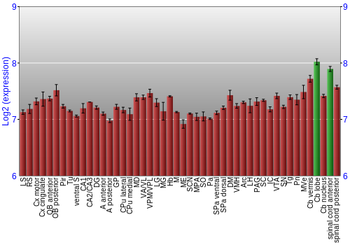 Multi-state expression graph