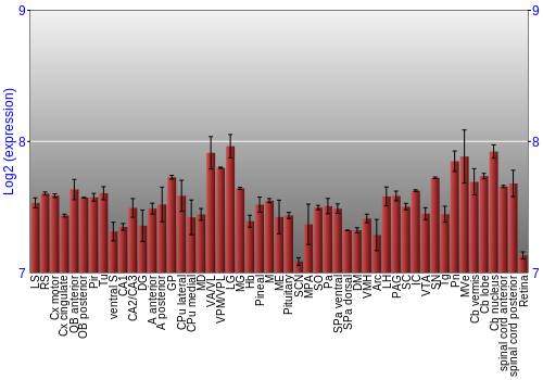 Expression graph