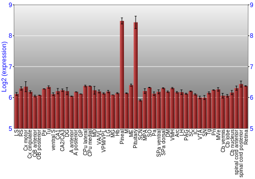 Expression graph
