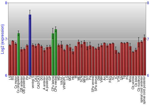 Multi-state expression graph