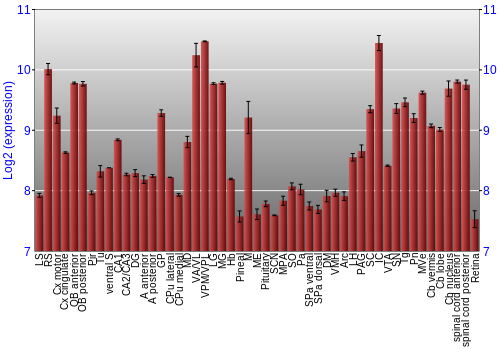 Expression graph
