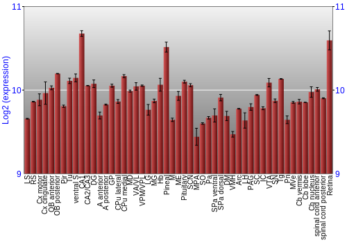Expression graph