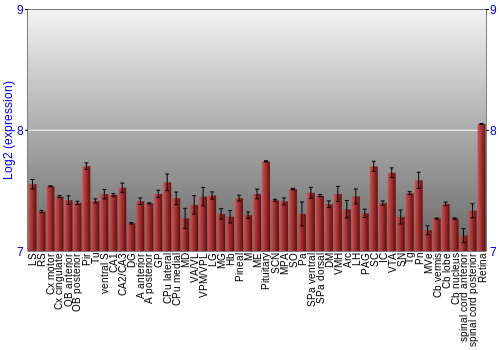 Expression graph