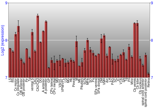 Expression graph