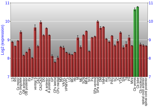 Multi-state expression graph