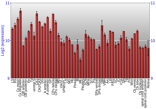 Expression graph