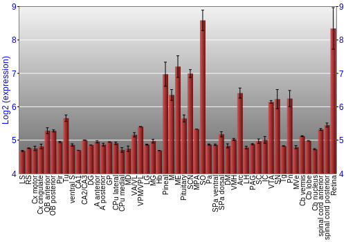 Expression graph