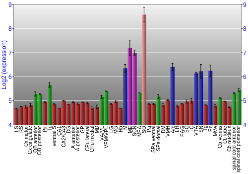 Multi-state expression graph