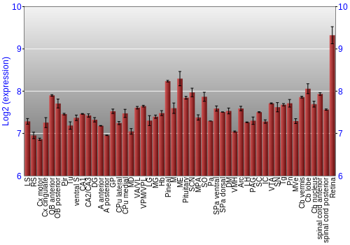 Expression graph