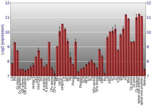 Expression graph