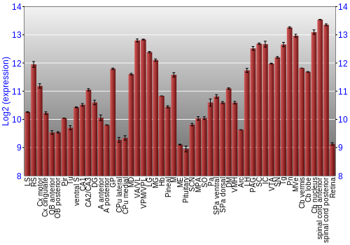 Expression graph