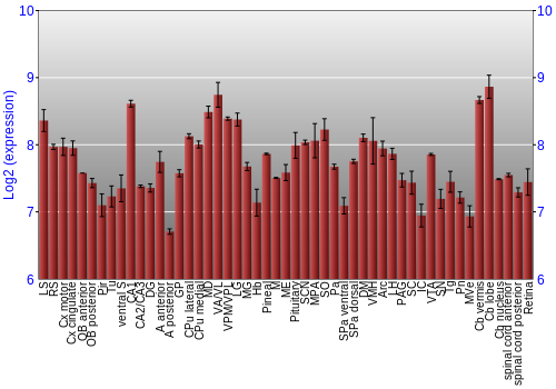 Expression graph