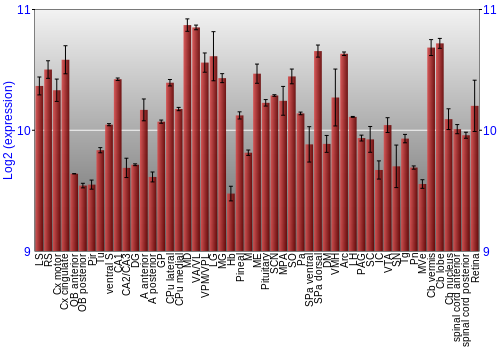Expression graph