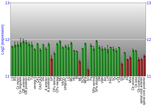 Multi-state expression graph