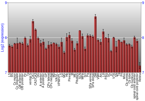 Expression graph