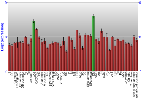 Multi-state expression graph