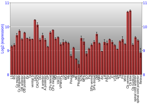 Expression graph