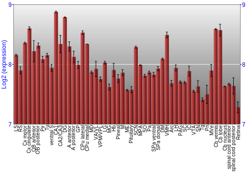 Expression graph