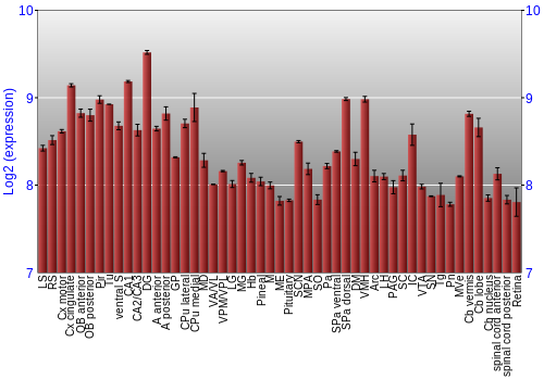 Expression graph