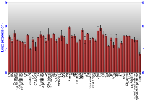 Expression graph