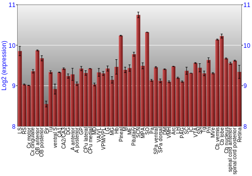 Expression graph